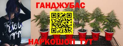 СК Нальчик
