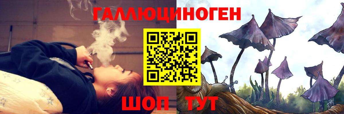 Псилоцибиновые грибы прущие грибы Сочи